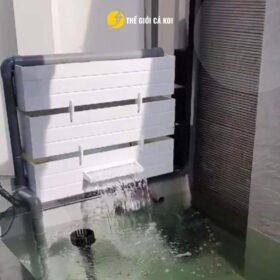 Tham khảo ngay lọc tràn trên tại Thế Giới Cá Koi!