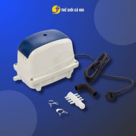 Liên hệ ngay Thế Giới Cá Koi