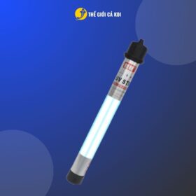 Xem ngay tại Thế Giới Cá Koi