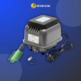 Kết cấu của máy sủi HJB