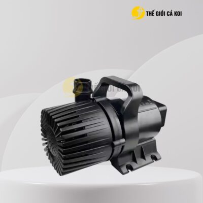 An tâm khi mua hàng tại Thế Giới Cá Koi