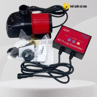 Các chi tiết bên trong máy bơm HSBAO AEP