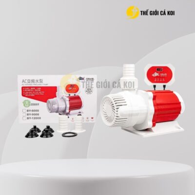 Chi tiết Máy bơm điện Baoyu BY (2000-12000)