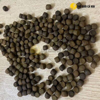Chọn ngay Cám Aqua Master Color tại Thế Giới Cá Koi