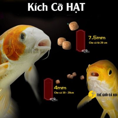 Kích cỡ hạt tiêu chuẩn của các dòng cám cá koi