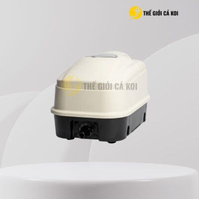 Lựa chọn máy sủi oxy RS cho hồ koi của bạn