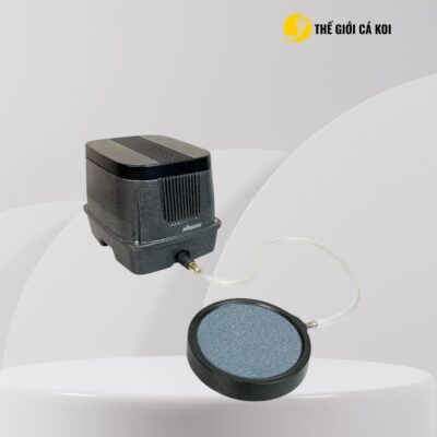 Máy sủi Rissee SAP kết hợp đĩa sủi