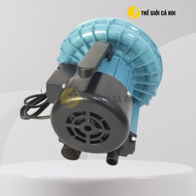 Thiết kế của máy thổi oxy Resun GF 