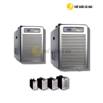 Kiểu dáng hiện đại, phần khung kim loại chắc chắn