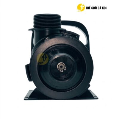 Thiết kế tỉ mỉ và sắc nét