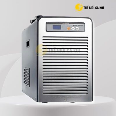 Xem ngay tại Thế Giới Cá Koi