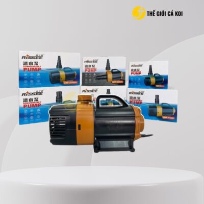 Xem thêm tại website Thế Giới Cá Koi