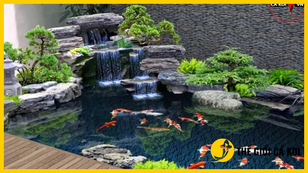 Cá koi nhật bơi trong hồ Cá koi nhật bơi trong hồ