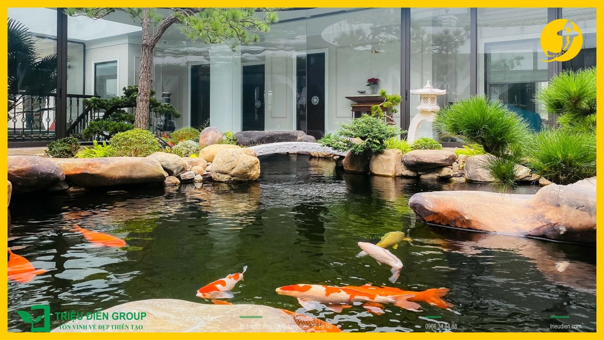 Các sai lầm phổ biến khi thiết kế hồ cá koi sân vườn đẹp Các sai lầm phổ biến khi thiết kế hồ cá koi sân vườn đẹp