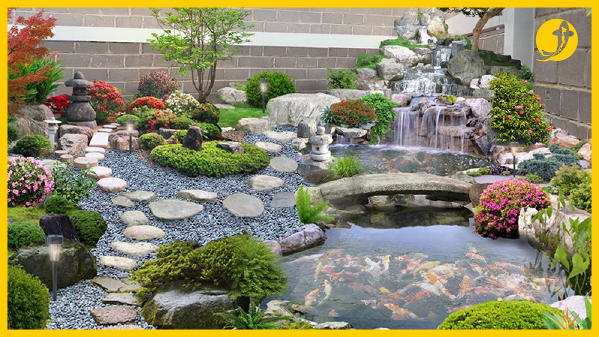 Cách bảo trì hồ cá koi ngoài trời đẹp nhất Cách bảo trì hồ cá koi ngoài trời đẹp nhất