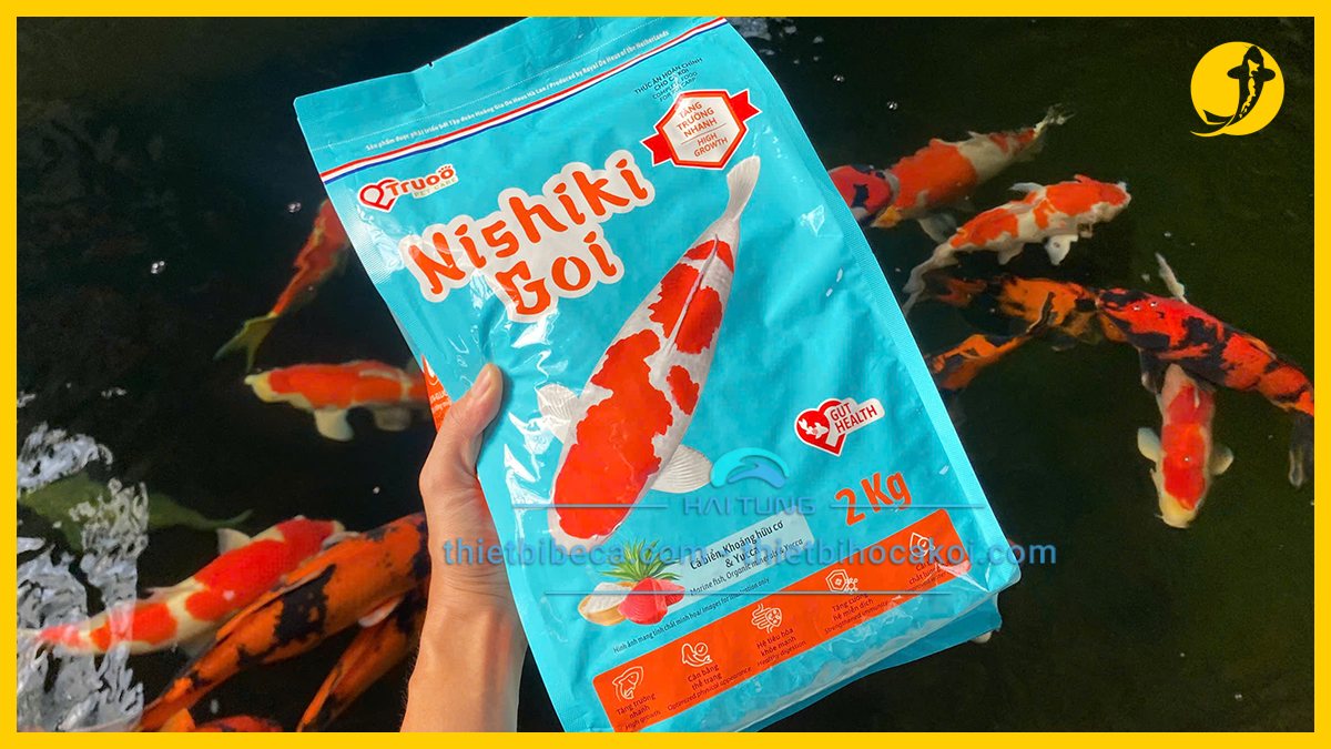 Thức ăn viên cho cá koi Nhật tại địa chỉ bán cá koi đẹp tại TPHCM