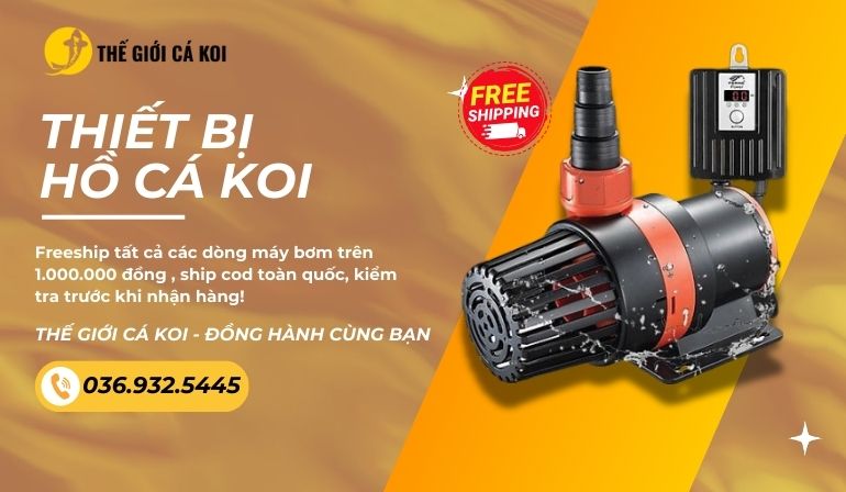 Thiết bị hồ cá koi - Thế giới cá koi