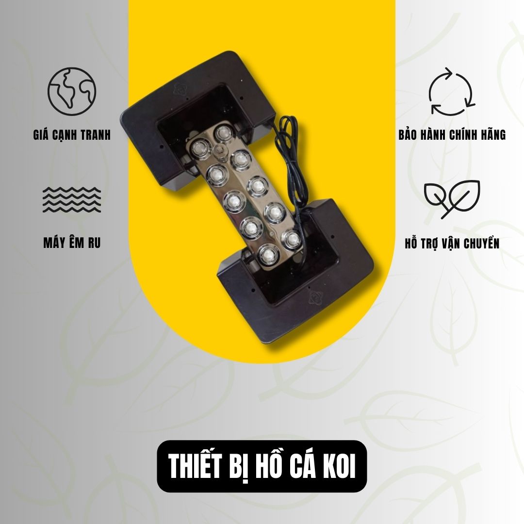Lọc Thùng Thủy Sinh