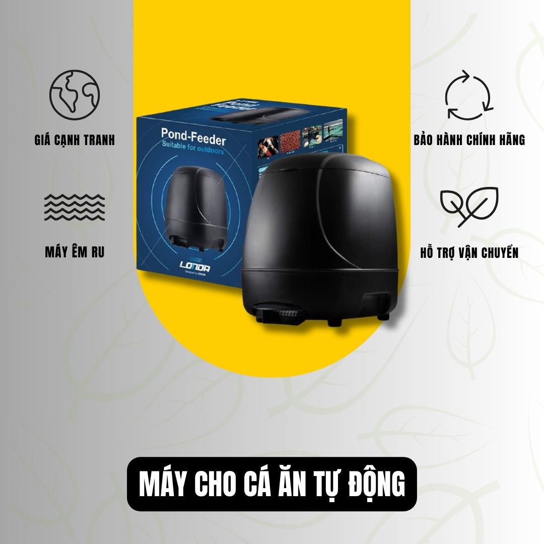 Máy Cho Cá Ăn Tự Động