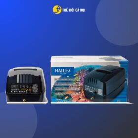 Máy Sủi Oxy Tích Điện Hailea CP 60 - CPA 100 - CPA 120 Chính Hãng - Sủi CP 40