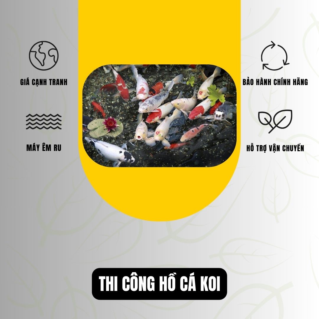 Hồ Cá Koi