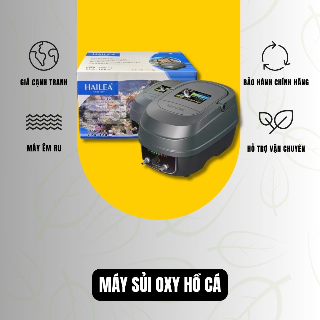 Sủi Oxy Hồ Cá Koi