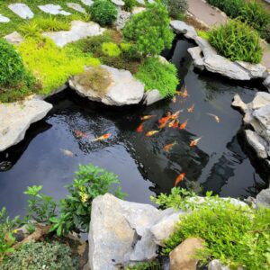 Thiết Kế Thi Công Tiểu Cảnh Đẹp, Chuyên Nghiệp