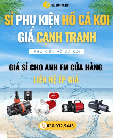 sỉ phụ kiện hồ cá koi giá tốt