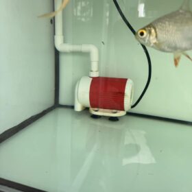 Ảnh máy bơm BAOYU BY 10x hoạt động