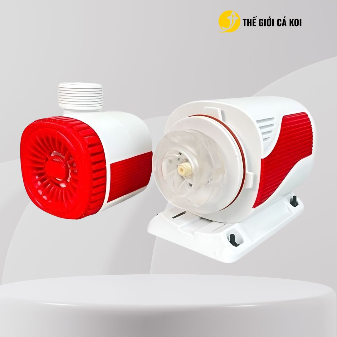 Máy bơm điện BAOYU BY-DC 1 chiều (Series 2000-3500-4500-7500-9000-12000) - THẾ GIỚI CÁ KOI - Ảnh 6