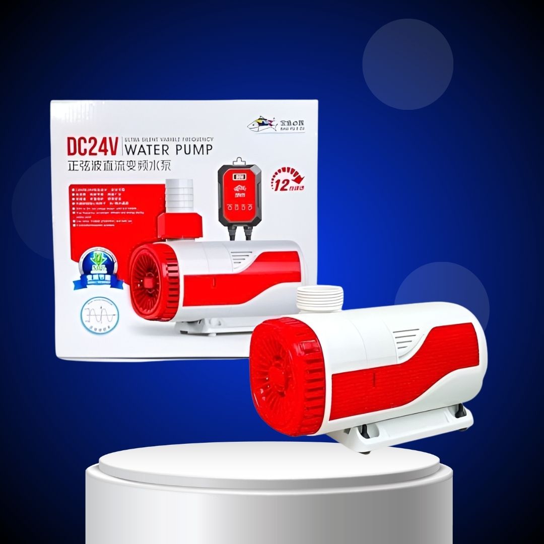 Máy bơm điện BAOYU BY-DC 1 chiều 24V