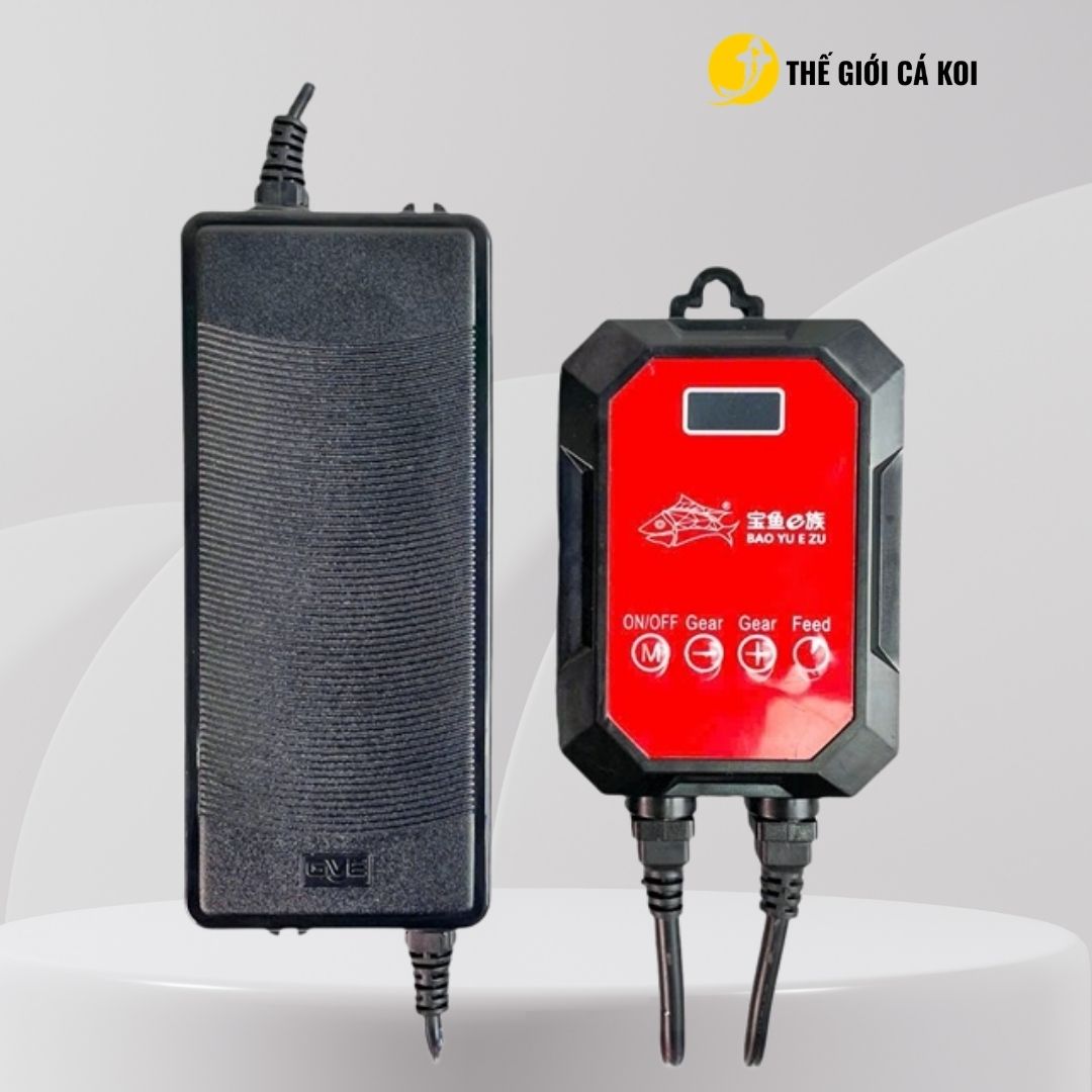 Máy bơm điện BAOYU BY-DC an toàn