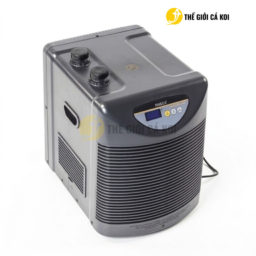 Lựa chọn ngay tại Thế Giới Cá Koi