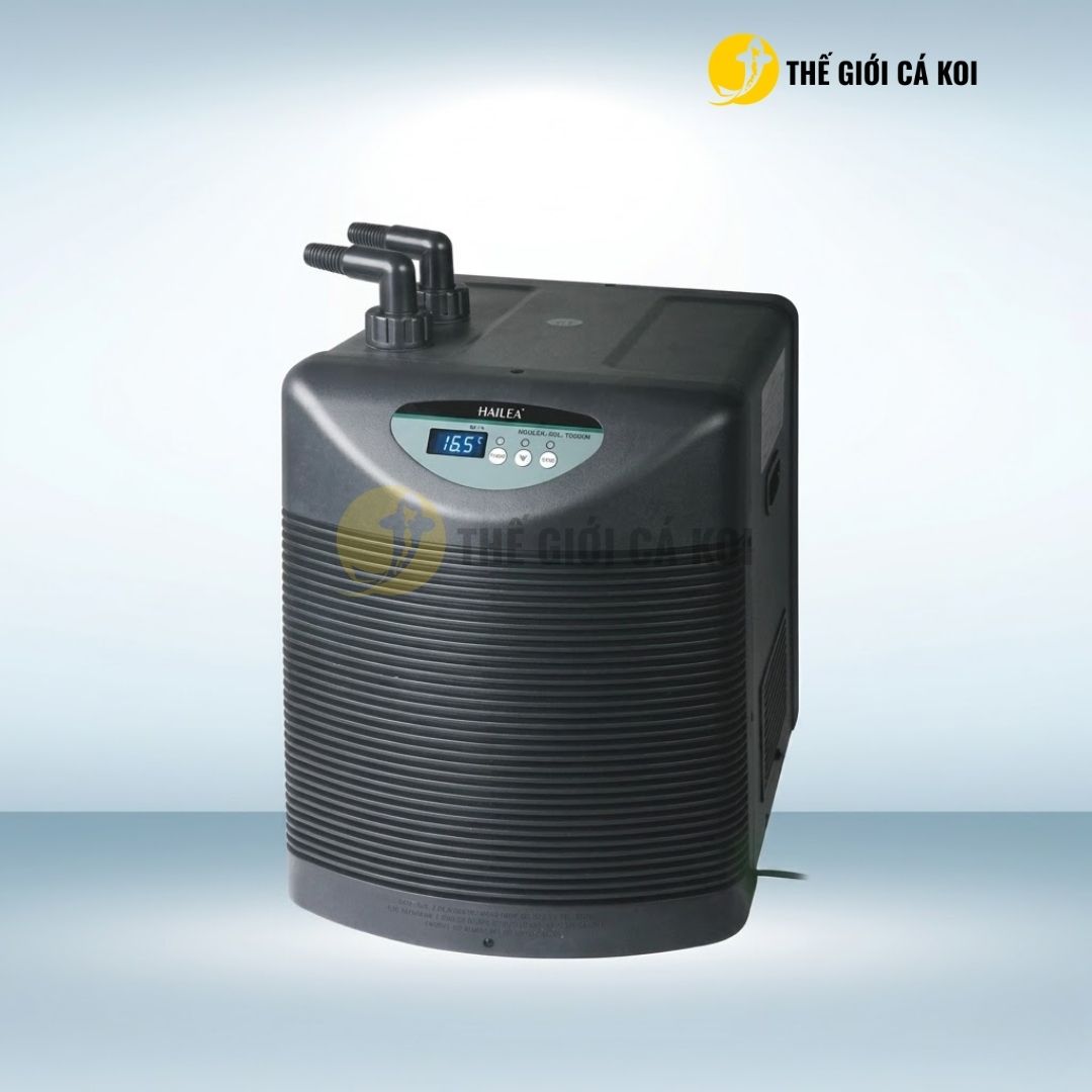 Máy có thiết kế chắc chắn, hạn chế rung lắc