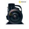 Thiết kế tỉ mỉ và sắc nét