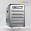 Xem ngay tại Thế Giới Cá Koi