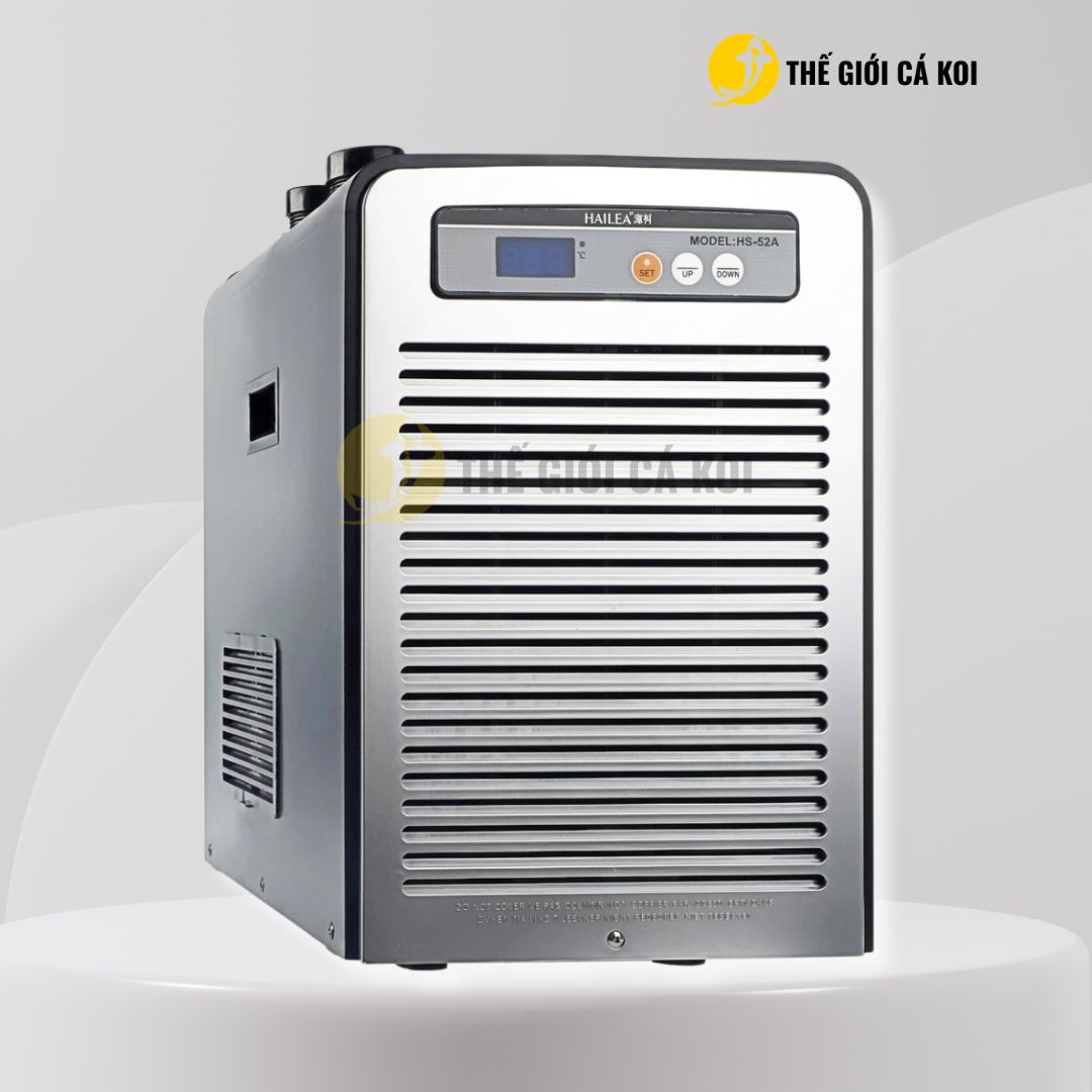 Xem ngay tại Thế Giới Cá Koi