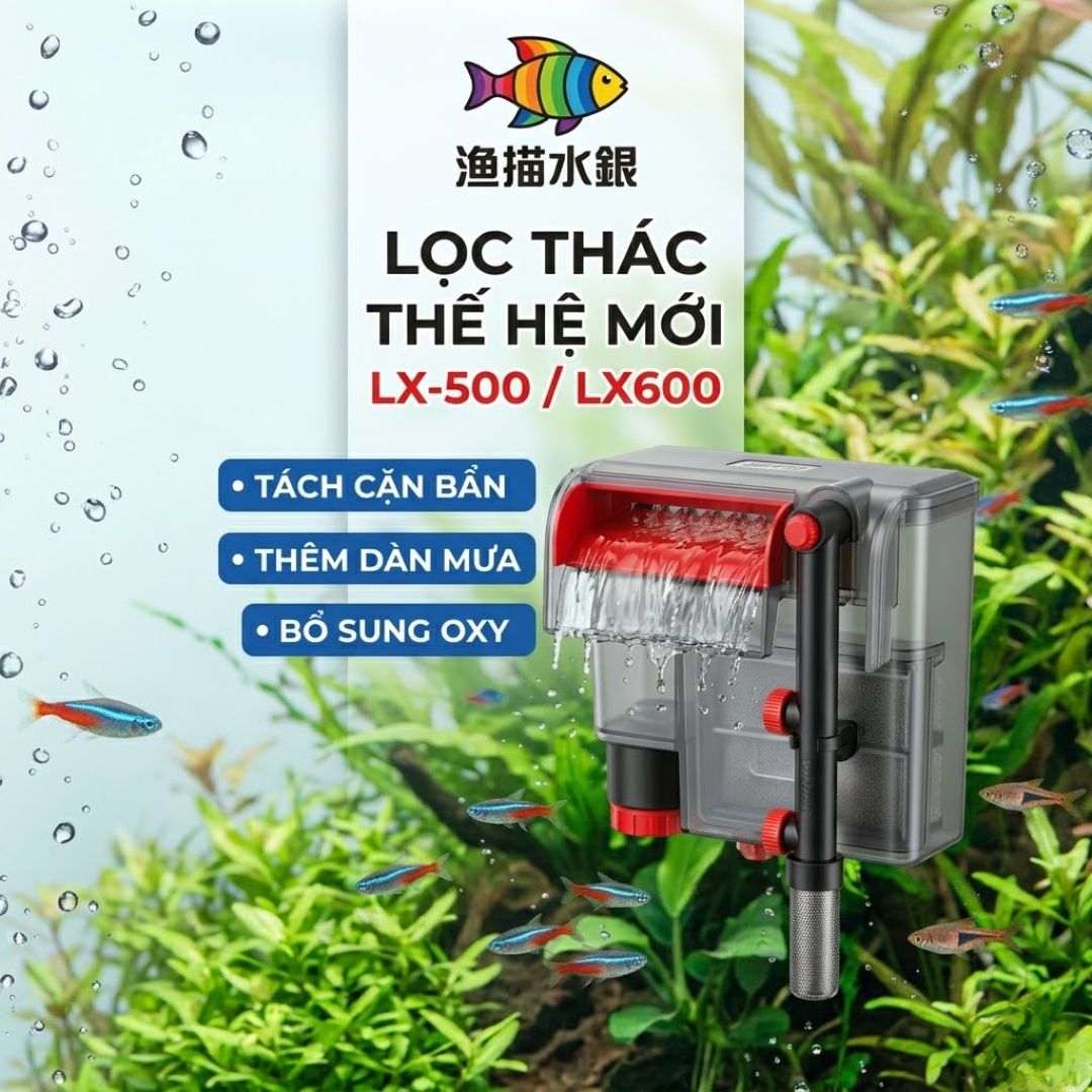 Xem thêm tại Thế Giới Cá Koi