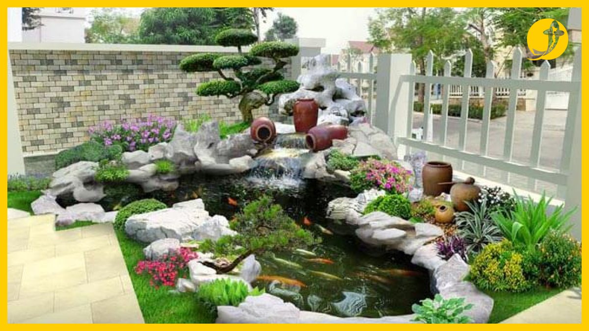 Cá koi bơi trong hồ mini sạch nước