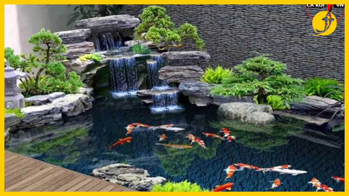 Hồ cá koi bị thiết kế sai kích thước tiêu chuẩn Hồ cá koi bị thiết kế sai kích thước tiêu chuẩn