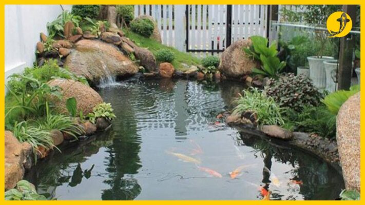 Hồ cá koi đẹp cho biệt thự với thiết kế sân vườn