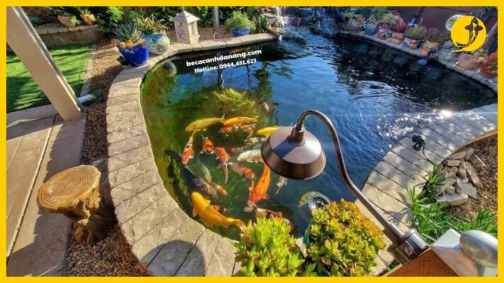 Hồ cá koi gia đình xây ngoài trời với thiết kế đơn giản