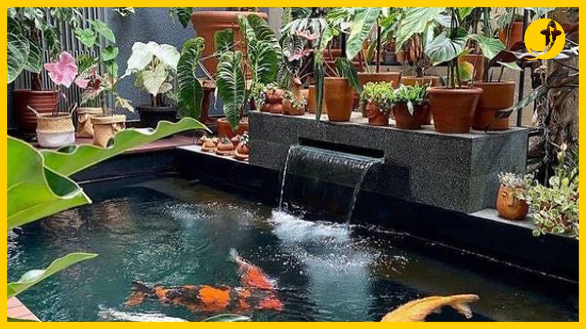 Hồ cá koi mini cho không gian hạn chế