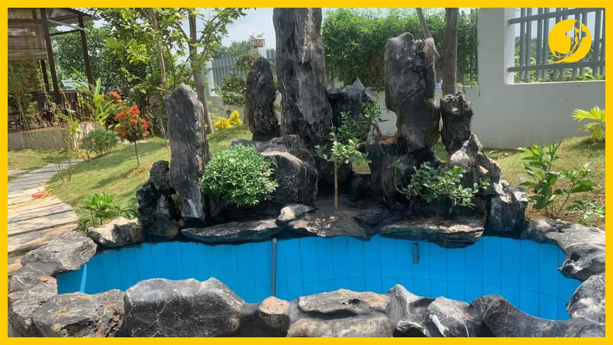 Kiểm tra và bảo trì hồ cá koi xi măng