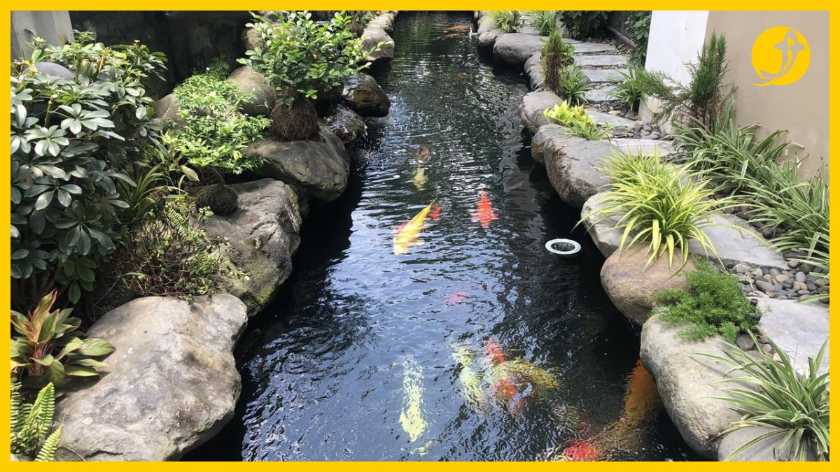 Mẫu hồ cá koi ngoài trời đẹp cho gia đình