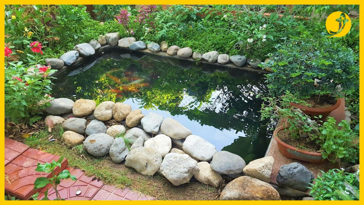 Quá trình đổ bê tông hồ cá koi xi măng