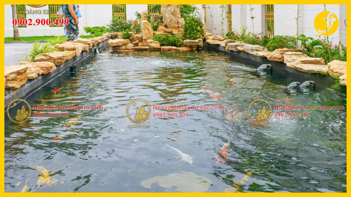 Thiết kế hồ cá koi đơn giản phù hợp diện tích gia đình Thiết kế hồ cá koi đơn giản phù hợp diện tích gia đình