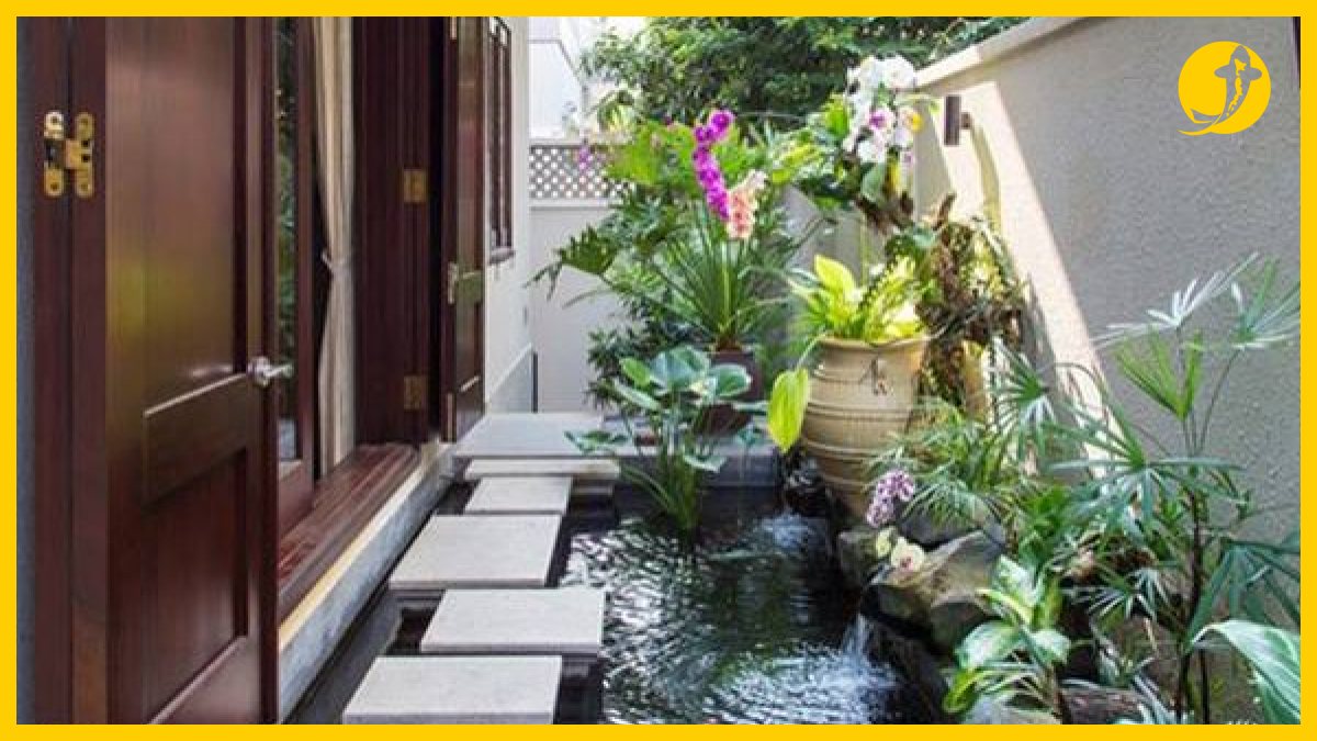 Thiết kế hồ cá koi mini trong nhà nhỏ